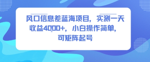 风口信息差蓝海项目，实测一天收益4k+，小白操作简单，可矩阵起号——生财有道创业项目网-生财有道