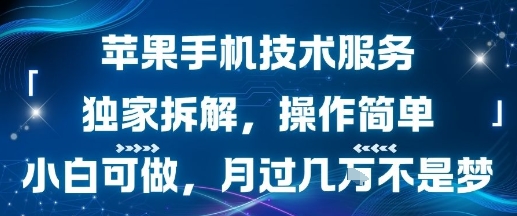 苹果手机技术服务，独家拆解，操作简单，小白可做，月过1W不是梦——生财有道创业项目网-生财有道