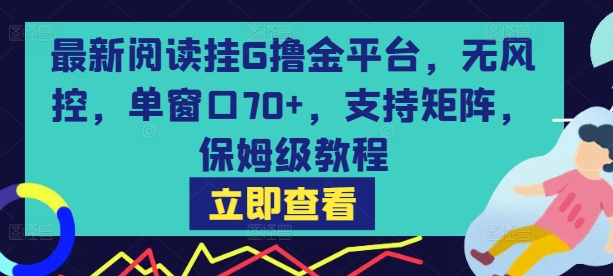 最新阅读挂G撸金平台，无风控，单窗口70+，支持矩阵，保姆级教程【揭秘】——生财有道创业项目网-生财有道