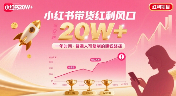 一年时间靠小红书带货项目年入20w+，最不能错的大红利项目——生财有道创业项目网-生财有道