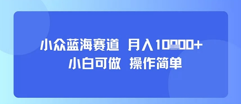 小众蓝海赛道，小白可做，操作简单，每天30分钟，月入1W+——生财有道创业项目网-生财有道