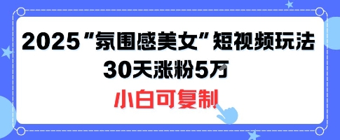 不露脸也能火！2025“氛围感美女”短视频玩法，30天涨粉5W小白可复制——生财有道创业项目网-生财有道