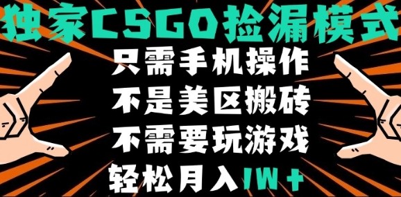 CSGO自动捡漏项目，最新独家玩法，不是美区搬砖，不需要了解和玩游戏，新手小白轻松月入1W+【揭秘】——生财有道创业项目网-生财有道