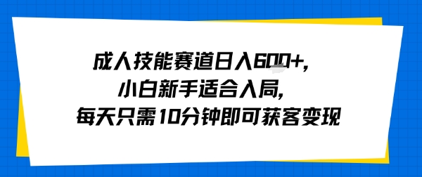 成人技能赛道日入多张，小白新手适合入局，每天只需10分钟即可获客变现——生财有道创业项目网-生财有道