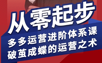 拼多多运营进阶系统课，从零起步，多多运营进阶体系课，破茧成蝶的运营之术——生财有道创业项目网-生财有道