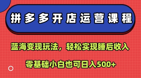 拼多多开店运营课程：蓝海变现玩法，轻松实现睡后收入，零基础小白也可日入5张——生财有道创业项目网-生财有道