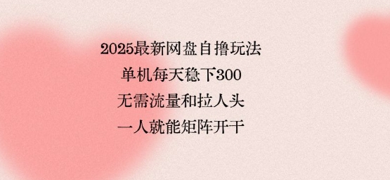 2025最新网盘自撸玩法，单机每天稳下3张，无需流量和拉人头，一个人就可轻松矩阵，全网独一份【揭秘】——生财有道创业项目网-生财有道