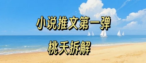 小说推文项目操作全流程第一弹，0粉就能做，门槛低非常适合新手——生财有道创业项目网-生财有道