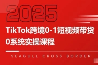 TikTok跨境0-1短视频带货，系统拆解TikTok跨境带货全链路，实现跨境可持续盈利——生财有道创业项目网-生财有道