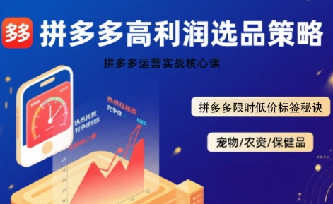 拼多多选品暴利技术实战课，拼多多高利润选品策略，拼多多限时低价标签秘诀——生财有道创业项目网-生财有道