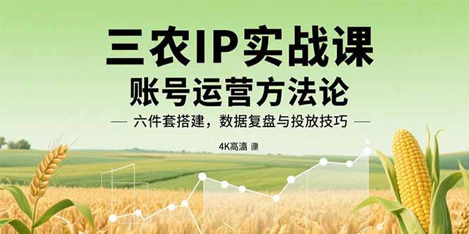 （15864期）三农IP实战课：账号运营方法论，六件套搭建，数据复盘与投放技巧_生财有道创业项目网-生财有道