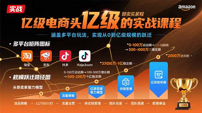 （15803期）亿级电商头部卖家的实战课程：涵盖多平台玩法，实现从0到亿级规模的跃迁_生财有道创业项目网-生财有道