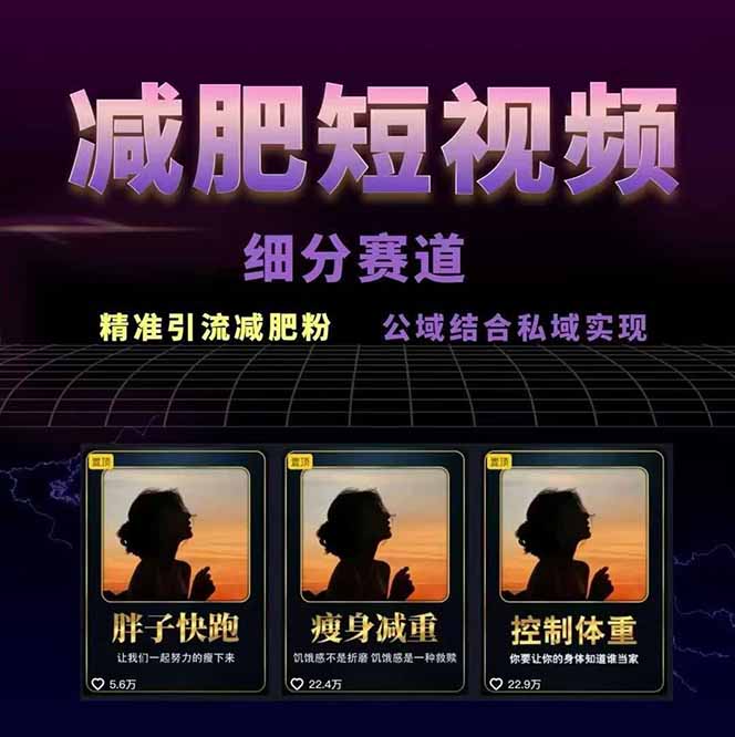 图片[2]-（15788期）减肥短视频赛道运营课：素材准备-视频制作-引流变现全流程 (附素材)_生财有道创业项目网-生财有道