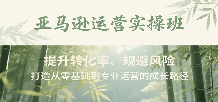 亚马逊运营实操班，提升转化率、规避风险，打造从零基础到专业运营的成长路径_生财有道创业网-生财有道