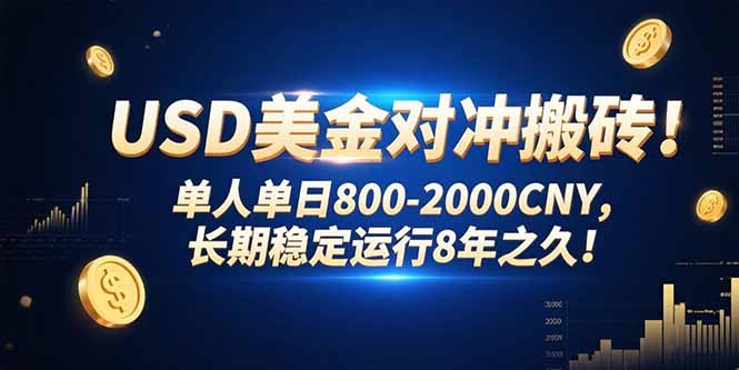 （15551期）USD美金对冲搬砖!单人单日800-2000CNY，长期稳定运行8年之久!_生财有道创业项目网-生财有道
