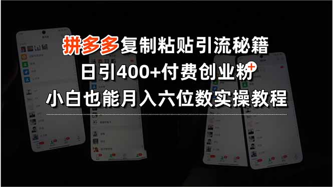 （15613期）拼多多复制粘贴引流秘籍，日引400+付费创业粉，小白也能月入六位数实操…_生财有道创业项目网-生财有道