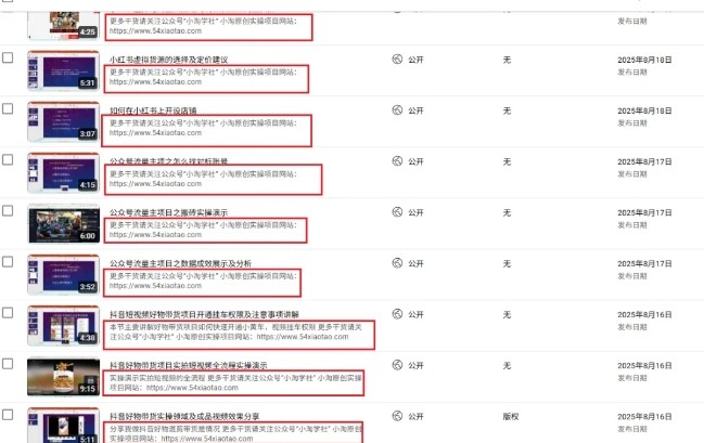 图片[2]-2025油管引流术，分享我是如何通过油管做引流的——生财有道创业项目网-生财有道