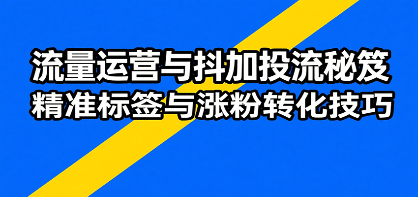 流量运营与抖加投流秘笈，含算法解析、爆款打造、精准标签与涨粉转化技巧_生财有道创业网-生财有道