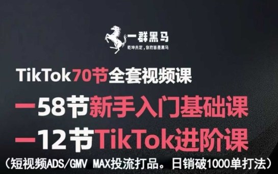 TikTok全套视频课，新手入门+进阶课，短视频ADS-GMV MAX投流打品，日销破1000单打法——生财有道创业项目网-生财有道