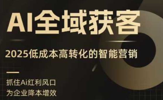 AI全域获客实训营，2025低成本高转化的智能营销，精准找客，高效营销——生财有道创业项目网-生财有道