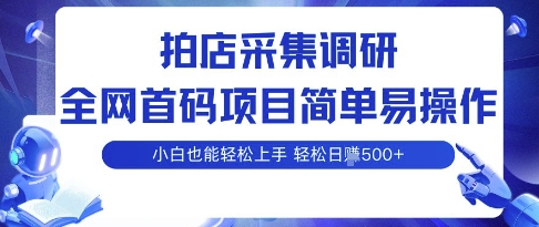 拍店采集调研，全网首码项目，简单易操作， 小白也能轻松上手，多账号操作，轻松日入5张【揭秘】——生财有道创业项目网-生财有道