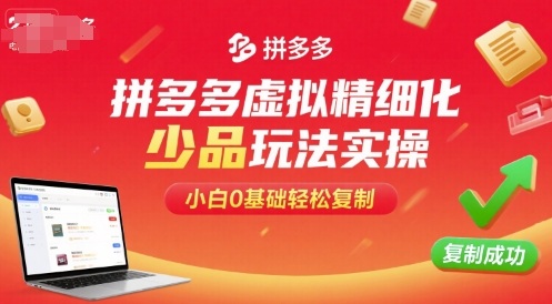 拼多多虚拟精细化少品玩法实操，小白0基础轻松复制——生财有道创业项目网-生财有道