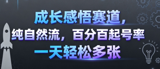 成长感悟赛道，纯自然流，百分百起号率 一天轻松多张——生财有道创业项目网-生财有道