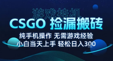 8月最新游戏搬砖，CSGO纯挂G，不需要玩游戏，实现真挂G，月入1W+【揭秘】——生财有道创业项目网-生财有道
