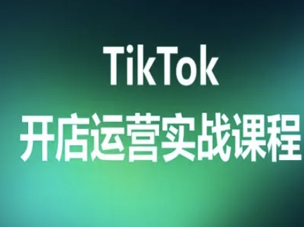 TikTok开店运营实战课程，TK跨境电商实操全流程——生财有道创业项目网-生财有道
