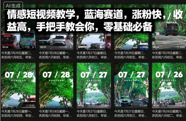 情感短视频教学，蓝海赛道，涨粉快，收益高，手把手教会你，零基础必备——生财有道创业项目网-生财有道