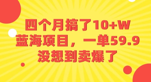 四个月搞了10+W的蓝海项目，一单59.9米，没想到卖爆了——生财有道创业项目网-生财有道