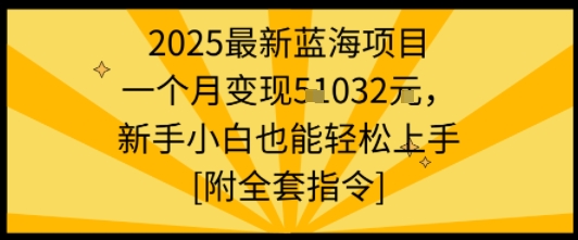 2025最新蓝海项目一个月变现1w+新手小白也能轻松上手【附全套指令】——生财有道创业项目网-生财有道