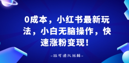 0成本，小红书最新玩法，小白无脑操作，快速涨粉变现——生财有道创业项目网-生财有道