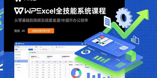 （15873期）WPS Excel全技能系统课程：从零基础到高阶实战全覆盖，全面提升办公效率_生财有道创业项目网-生财有道