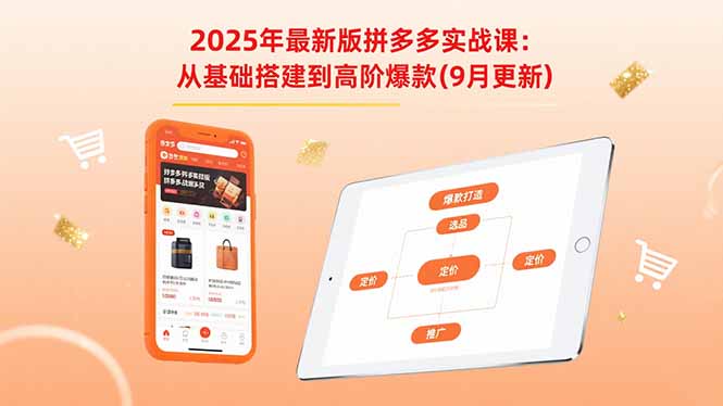 （15899期）2025年最新版拼多多实战课：从基础搭建到高阶爆款（9月更新）_生财有道创业项目网-生财有道
