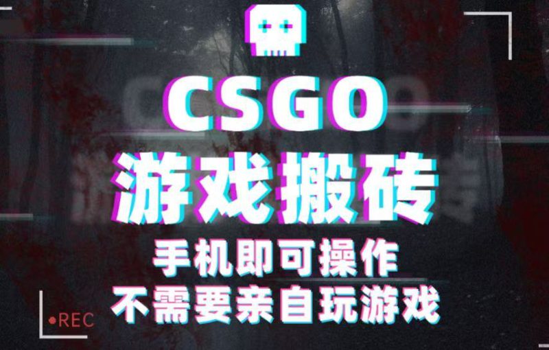 CSGO游戏挂机捡漏，单日扫货500+，年底小高峰上车可吃肉，手机即可操作兼职副业_生财有道创业网-生财有道