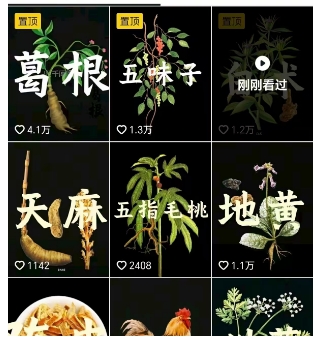抖音中草药赛道，用AI做中草药故事视频，45条作品涨粉13W，橱窗带货猛猛出单——生财有道创业项目网-生财有道