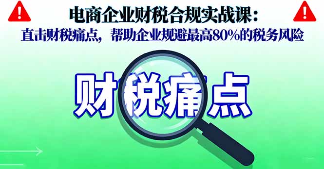（16232期）电商企业财税合规实战课，直击财税痛点，帮助企业规避最高80%的税务风险_生财有道创业项目网-生财有道