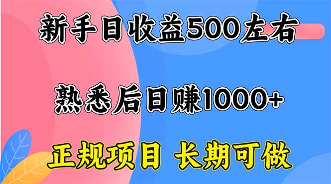 （16132期）新手日收益500+ 正规项目 长期可做_生财有道创业项目网-生财有道