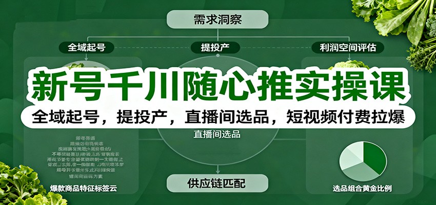 新号千川随心推实操课:全域起号,提投产,直播间选品,短视频付费拉爆_生财有道创业网-生财有道