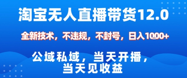 淘宝无人直播12.0，公域私域技术，不封号，不违规布局双十一流量风口，日入1k（独家技术）【揭秘】——生财有道创业项目网-生财有道
