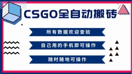 CSGO全自动搬砖,年底钱回家好项目,当天可拿到结果,新手小白轻松月入1W+【揭秘】——生财有道创业项目网-生财有道