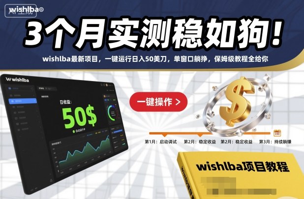 3个月实测稳如狗!wishlba最新项目,一键运行日入50美刀,单窗口躺挣,保姆级教程全给你【揭秘】——生财有道创业项目网-生财有道