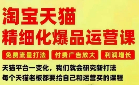 淘宝天猫精细化爆品运营课，免费流量打法-付费广告放大-利润增长-三大核心痛点，一次全部解决——生财有道创业项目网-生财有道
