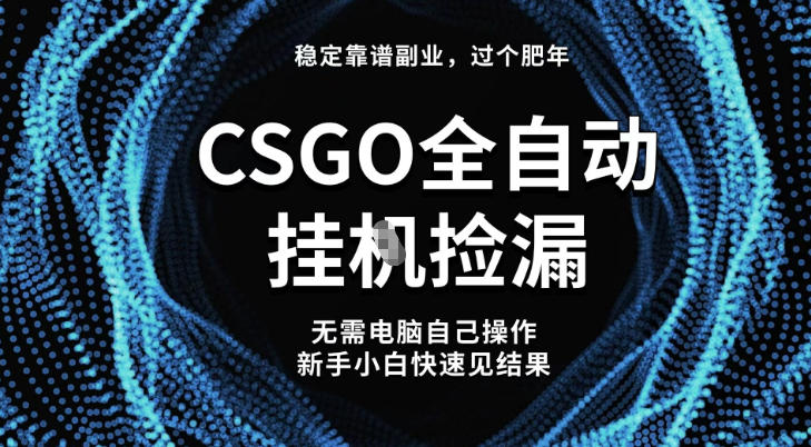 【稳定副业】全球最热门游戏CSGO全自动捡漏，最新玩法，新手小白日入5张+【揭秘】——生财有道创业项目网-生财有道
