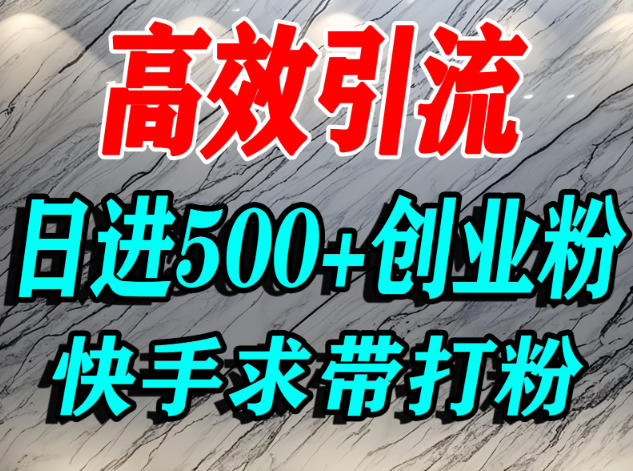 怎么打创业粉？快手求带视角精准引流创业粉，宝妈、学生群体日进500+精准流量——生财有道创业项目网-生财有道