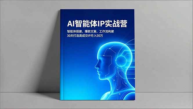 （16689期）AI智能体IP实战营，智能体搭建、爆款文案、工作流构建，30天打造高成交IP月入50万_生财有道创业项目网-生财有道