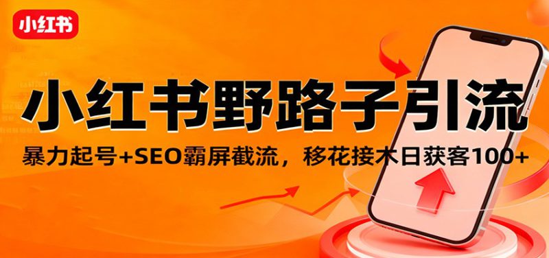 小红书野路子引流，暴力起号+SEO霸屏截流，移花接木日获客100+_生财有道创业网-生财有道