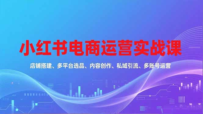 （16695期）小红书电商运营实战课，店铺搭建、多平台选品、内容创作、私域引流、多账号运营等玩法_生财有道创业项目网-生财有道