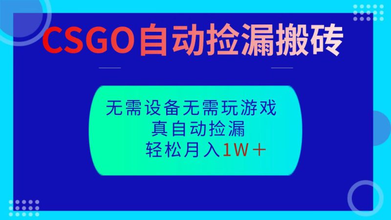 CSGO自动捡漏搬砖,当天操作当天见结果,无需了解游戏,包教包会包落地_生财有道创业网-生财有道